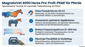 Magnetfeldtherapie für Pferde